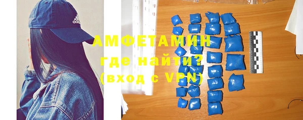индика Арсеньев