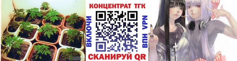 Дистиллят ТГК Wax цены наркотик блэк спрут как зайти Мыски