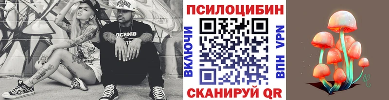 Галлюциногенные грибы Psilocybine cubensis  Мыски 